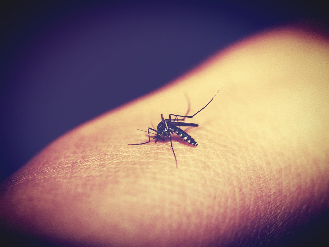 erfahren sie mehr über tropische krankheiten, ihre ursachen, symptome und behandlungsmöglichkeiten, um gesundheit in tropischen regionen zu fördern.